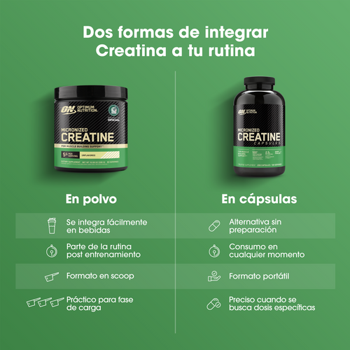 Creatina Monohidratada Micronizada en Polvo Sin Sabor