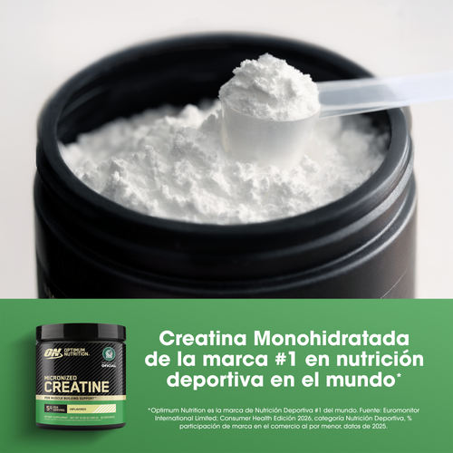 Creatina Monohidratada Micronizada en Polvo Sin Sabor